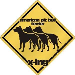   Pit Bull Terrier X Ing / Xing Iii  Crossing Dog: Home & Kitchen