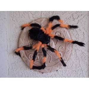  SPIDER   10  (SPIDER ONLY   WEBBING SOLD SEPARATELY): Toys & Games