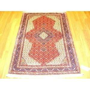    3x5 Hand Knotted Sarouk Persian Rug   50x30: Home & Kitchen
