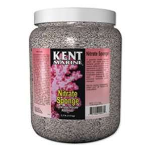  Kent Marine Nitrate Sponge 1 Gallon: Pet Supplies