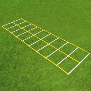  Fisher 15 Double Speed Ladders WHITE/GOLD 48 W X 15 L 