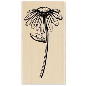  Sketched Flower 02   Rubber Stamps: Arts, Crafts & Sewing