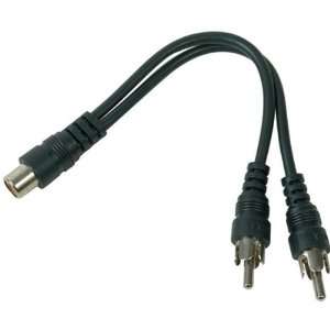  NEW 6 RCA Y Adapter   Female to Male (Cable Zone): Office 