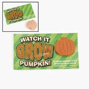    Watch It Grow Pumpkins   Novelty Toys & Magic & Gags Toys & Games