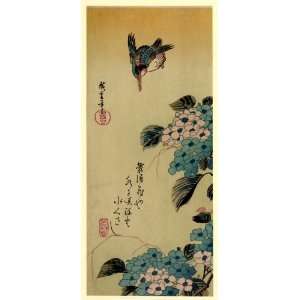 Japanese Print Ajisai ni kawasemi. TITLE TRANSLATION: Hydrangea and 