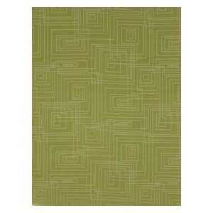  Robert Allen RA Tron   Aloe Fabric: Arts, Crafts & Sewing