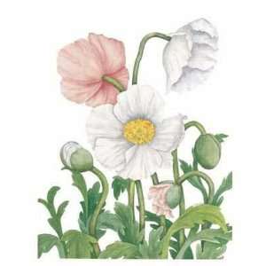  Airy Poppies Poster Print: Home & Kitchen
