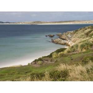 Gypsy Cove, Yorke Bay, Port Stanley, Falkland Islands, South America 