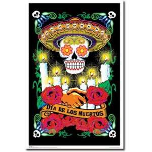  Black Light   Day of the Dead   Poster (23x34): Home 