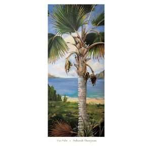  Poster   Fan Palm