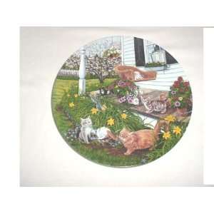  Garden Secrets: Kitty Corner Plate by Higgins Bond 