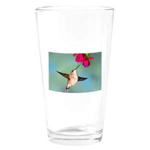    Pint Drinking Glass Black Chinned Hummingbird 