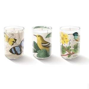   Studio Morning Birds & Butterflies Votive Candle Gift Set: Home