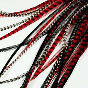  Christmas Red Feather Hair Extensions 5 Feathers: Beauty