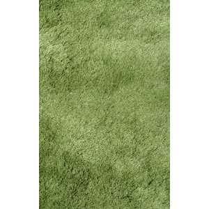  Silky Shag Collection SSC 63 Rug 5x8 Size: Home 
