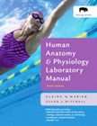 Human Anatomy & Physiology by Elaine Nicpon Marieb and Susan J 
