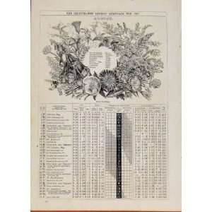  London Almanack August 1866 Wild Flowers Antique Print 