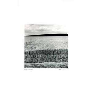    Untitled (wheat field) by Morry Katz, 12x20: Home & Kitchen
