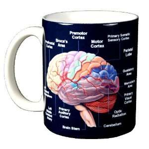  Brain 11 oz. Ceramic Coffee Mug: Kitchen & Dining