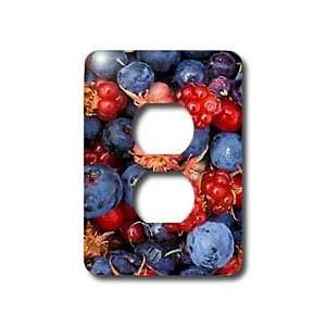  Fruit Food   Wild Berries   Light Switch Covers   2 plug 