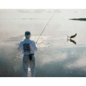  Borski Ties Flies Fly Fishing Video   DVDs: Sports 