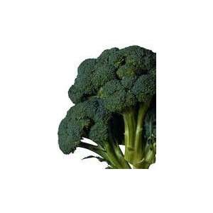  Green Calabrese Broccoli 100 Fresh Garden Seeds By 