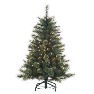  4 Ft Dark Green New Cashmere Pine: Home & Kitchen