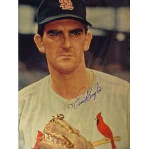 Ernie Broglio St. Louis Cardinals Autographed 11 x 14 Professionally 