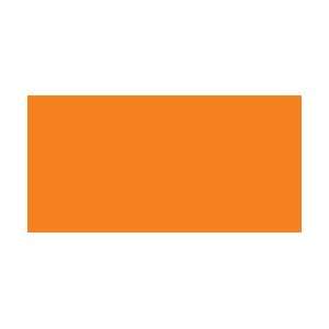  Medium Point Pen Open Stock Orange; 12 Items/Order