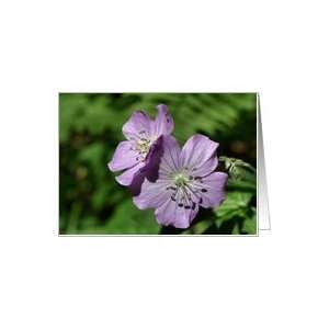  Lavender Wildflowers Flower Photo Blank Note Card Card 