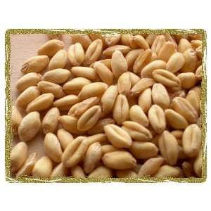 Soft White Wheat, 10 Lb Bag, Biologically Grown Non GMO Whole grain 