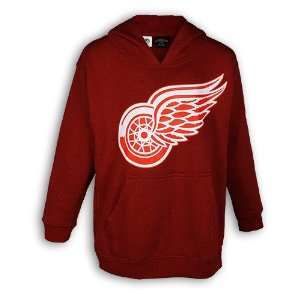  Detroit Red Wings YOUTH Big Logo Hoody: Sports & Outdoors