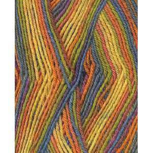  Red Heart Values Heart & Sole with Aloe Yarn 3955 Mellow 