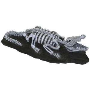   Blue Ribbon Resin Ornament Fossil Finds Nile Crocodile: Pet Supplies