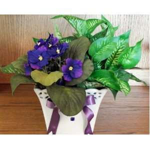    February Birth Month Flower   African Violets: Home & Kitchen