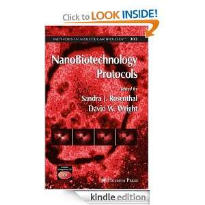 NanoBiotechnology Protocols (Methods in Molecular Biology): Sandra J 