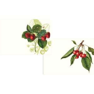   with Caspari Les Fruits Rouge Blank Notecard: Arts, Crafts & Sewing