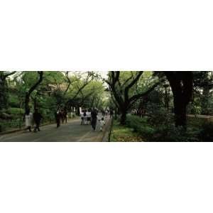  People Walking in a Park, Ueno Park, Taito, Tokyo 