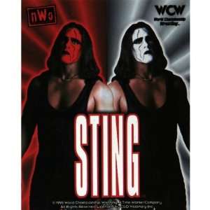 WCW   Sting Heaven and Hell Decal
