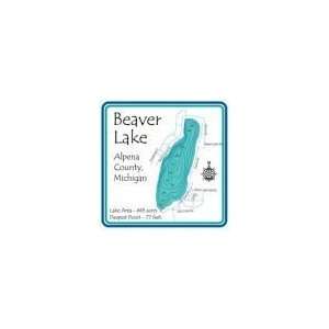  Beaver   Alpena County Mug