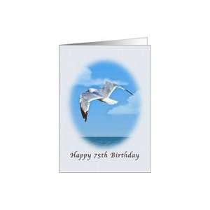  75th Birthday, Ring billed Gull Bird Card Toys & Games