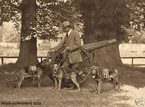 Airedale Terrier Bloodhound War Dog Print  