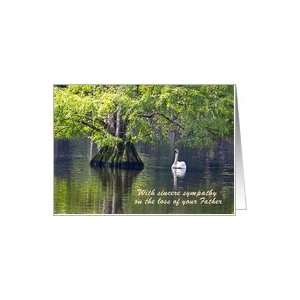  Sympathy loss of Father, pond cypress tree & Swan Card 