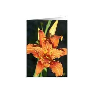 Orange Day Lily Flower Card Card