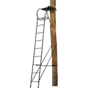  Big Game Treestands The Stealth Ladder Stand: Sports 