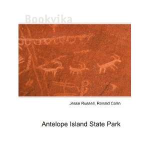  Antelope Island State Park Ronald Cohn Jesse Russell 
