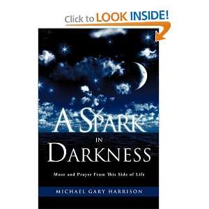    A Spark in Darkness [Paperback] Michael Gary Harrison Books