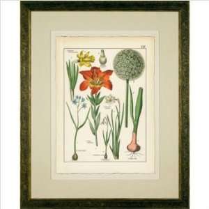    Phoenix Galleries HP882 Narcissus Framed Print   34x 42 Baby