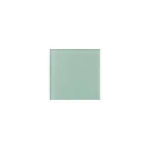  Noble Glass Tile 4 x 4 Aqua Frosted Color Sample: Home 
