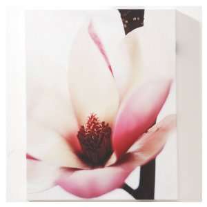  Graham & Brown 20W x 16H Pink Flower Printed Canvas Wall 
